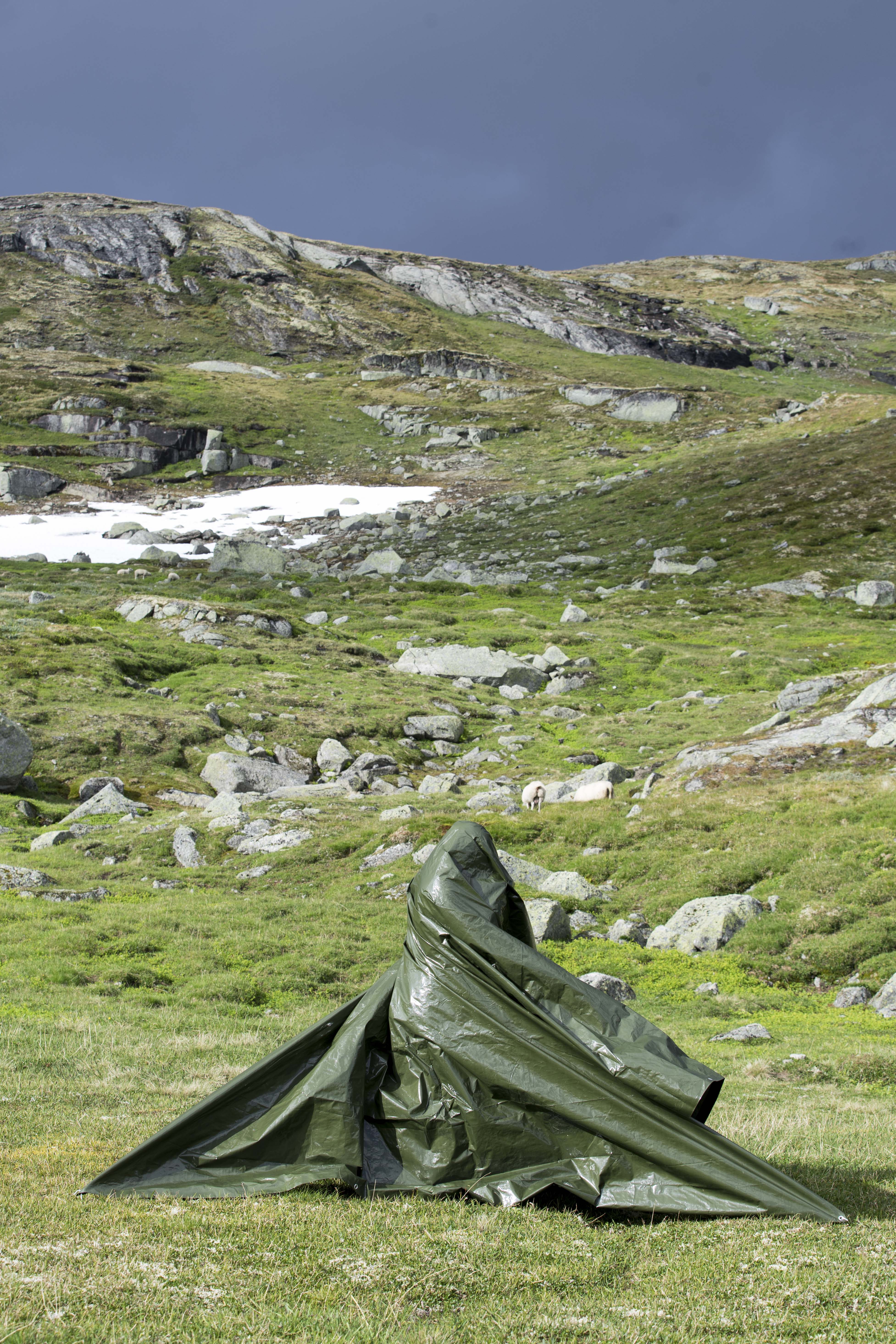 Finse_PABPAO_2020 (176 of 207)_1